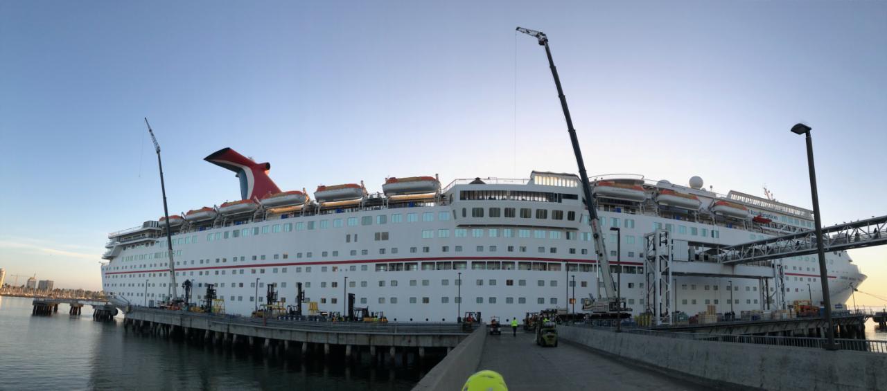 Anglemyer cruise ship project